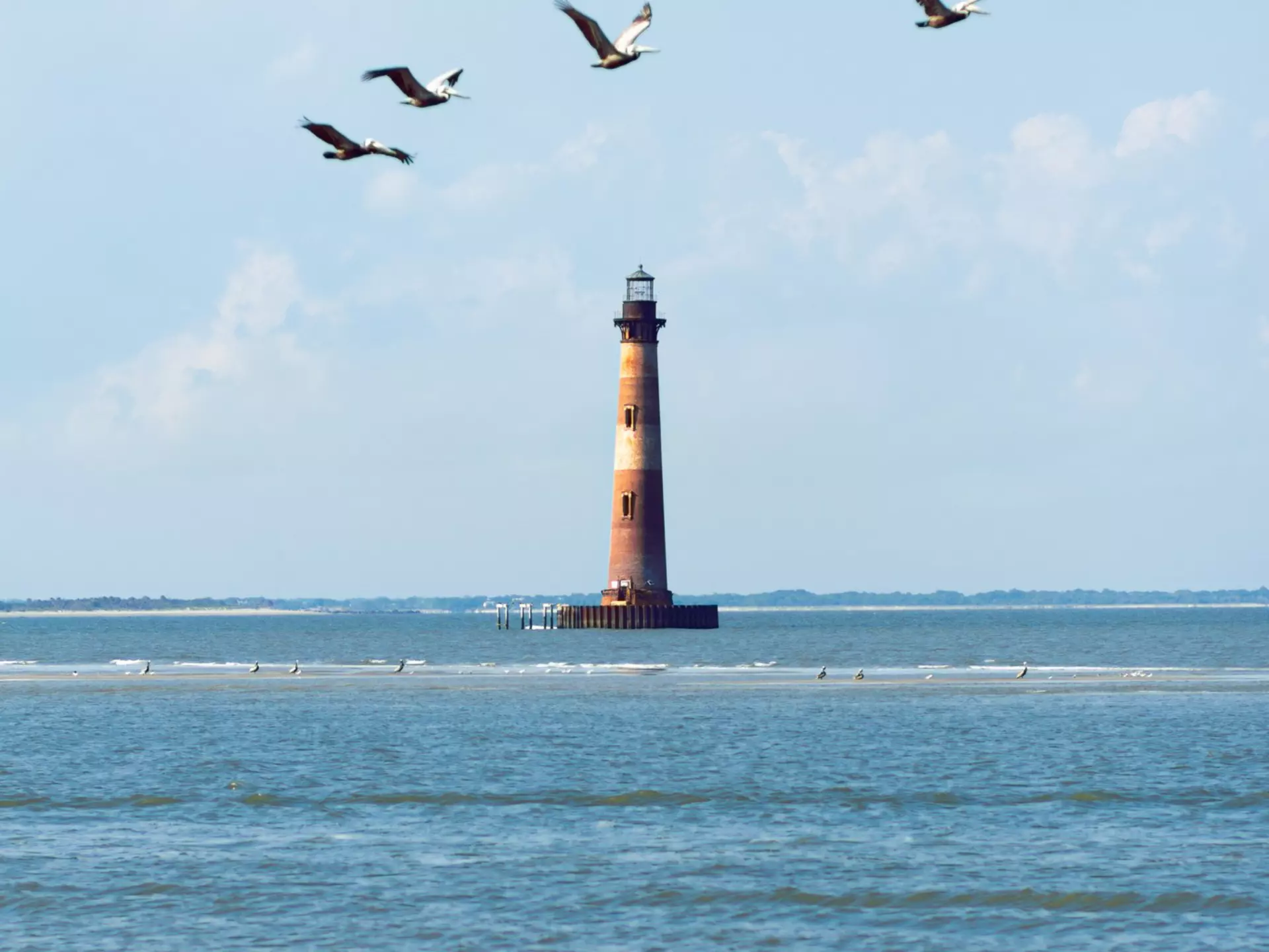 Morris Island Lighthouse near Folly Beach, South Carolina with flying seagulls, License Type: media, Download Time: 2025-01-30T20:49:01.000Z, User: katelyn.perry_lonelyplanet, Editorial: false, purchase_order: 65050 - Digital Destinations and Articles, job: Lonely Planet WiP, client: Lonely Planet WiP, other: Katelyn Perry