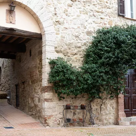 A cobble stone pathway next to a door that's framed by greenery on a stone building