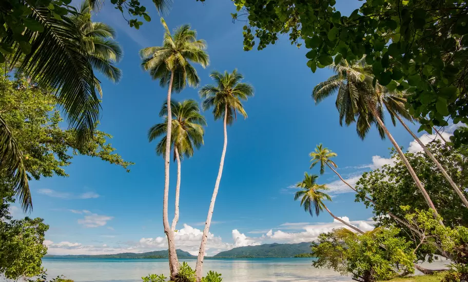 Tall coconut palms frame a calm turquoise lagoon and forested islands from Uepi Island, Marovo Lagoon, Solomon Islands
