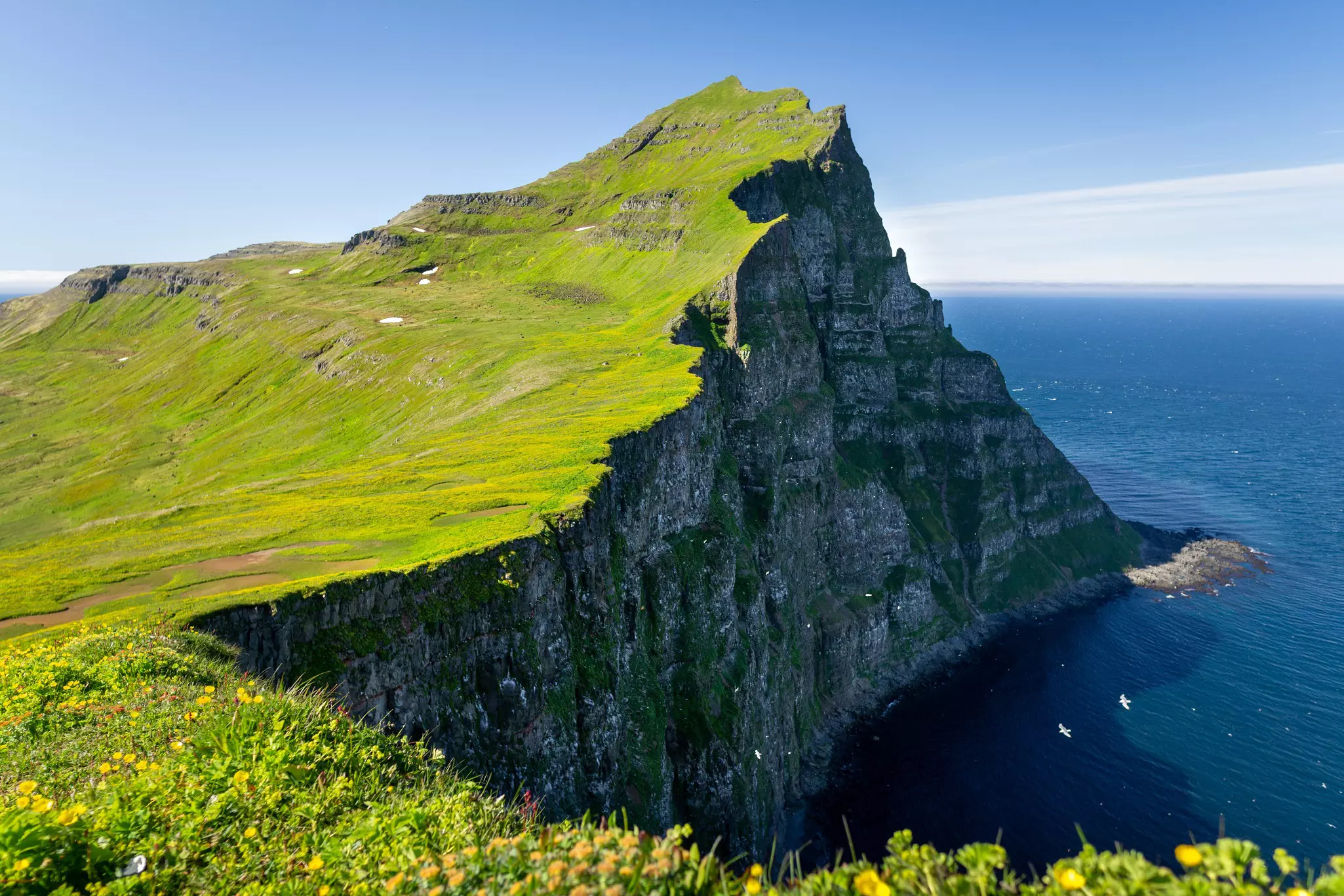 A dramatic cliff in the Westfjords, Iceland, with green growth on the land side and rocks plunging down to the sea on the other.