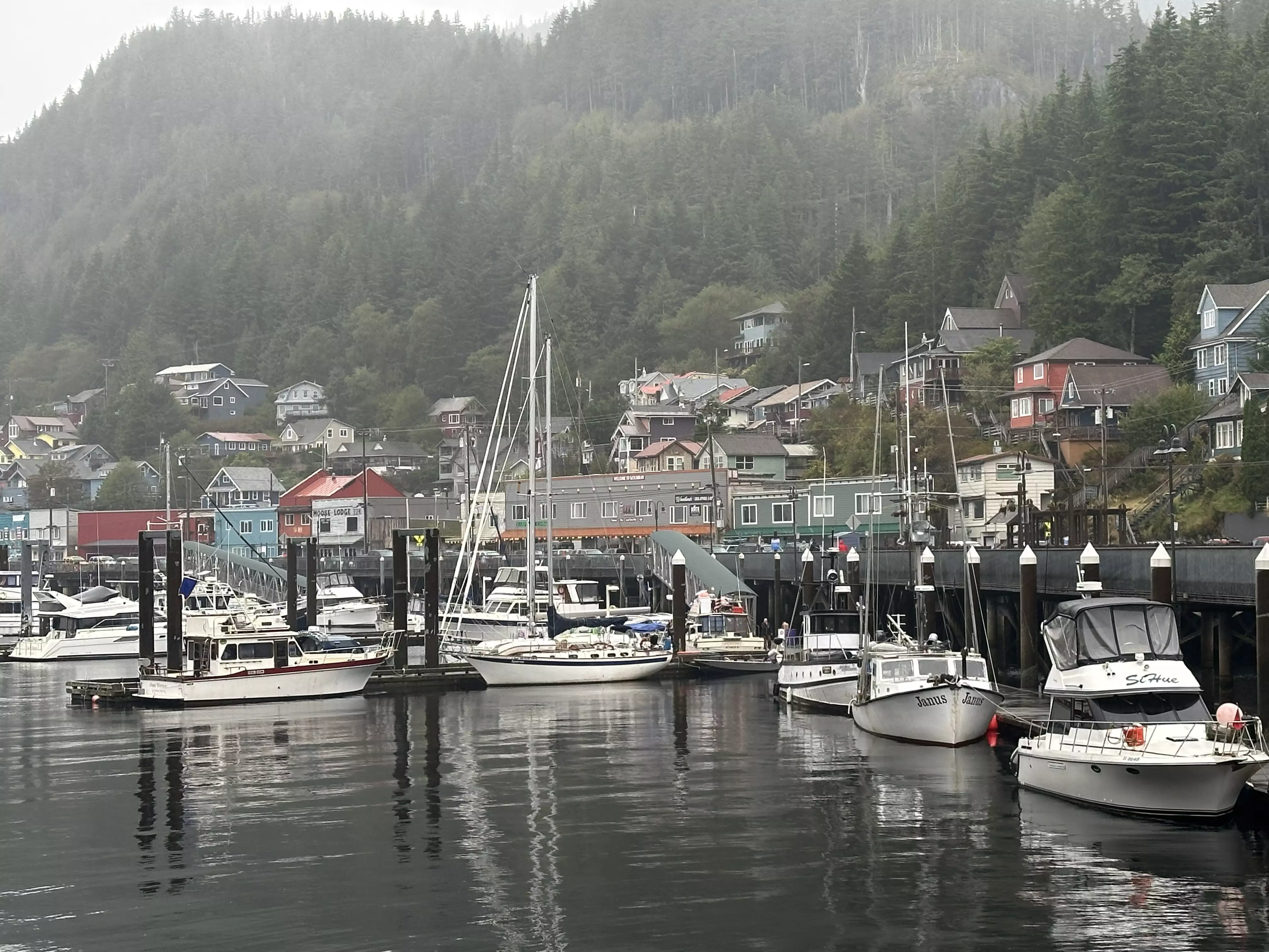 Power boats and sailboats docked in a harbor with buildings along the docks and up a forested hill on an overcast day.