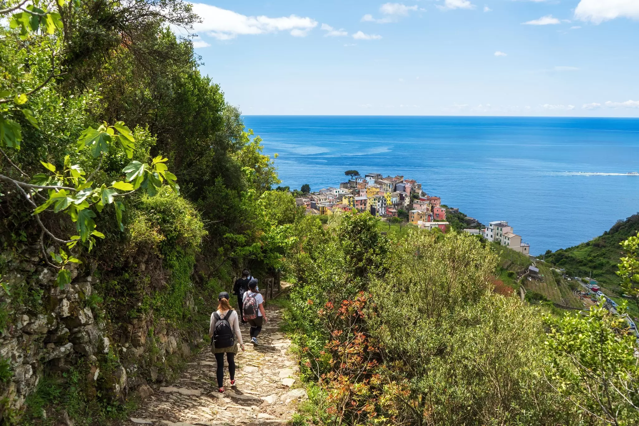 Two people walk a hiking path surrounded by vineyards overlooking an Italian seaside, clifftop village