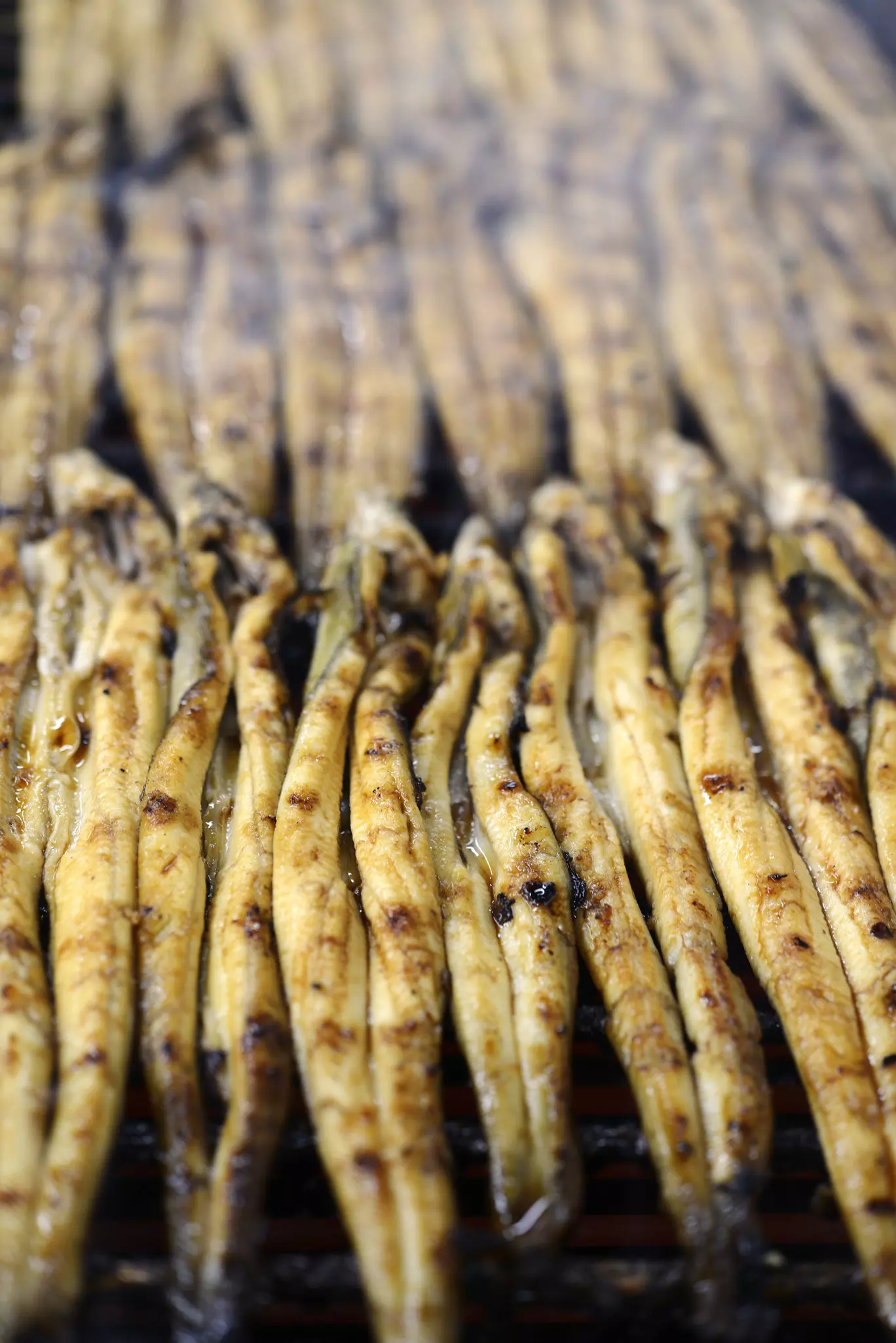People walking on a path in front of Victorian houses in Cape May, Virginia