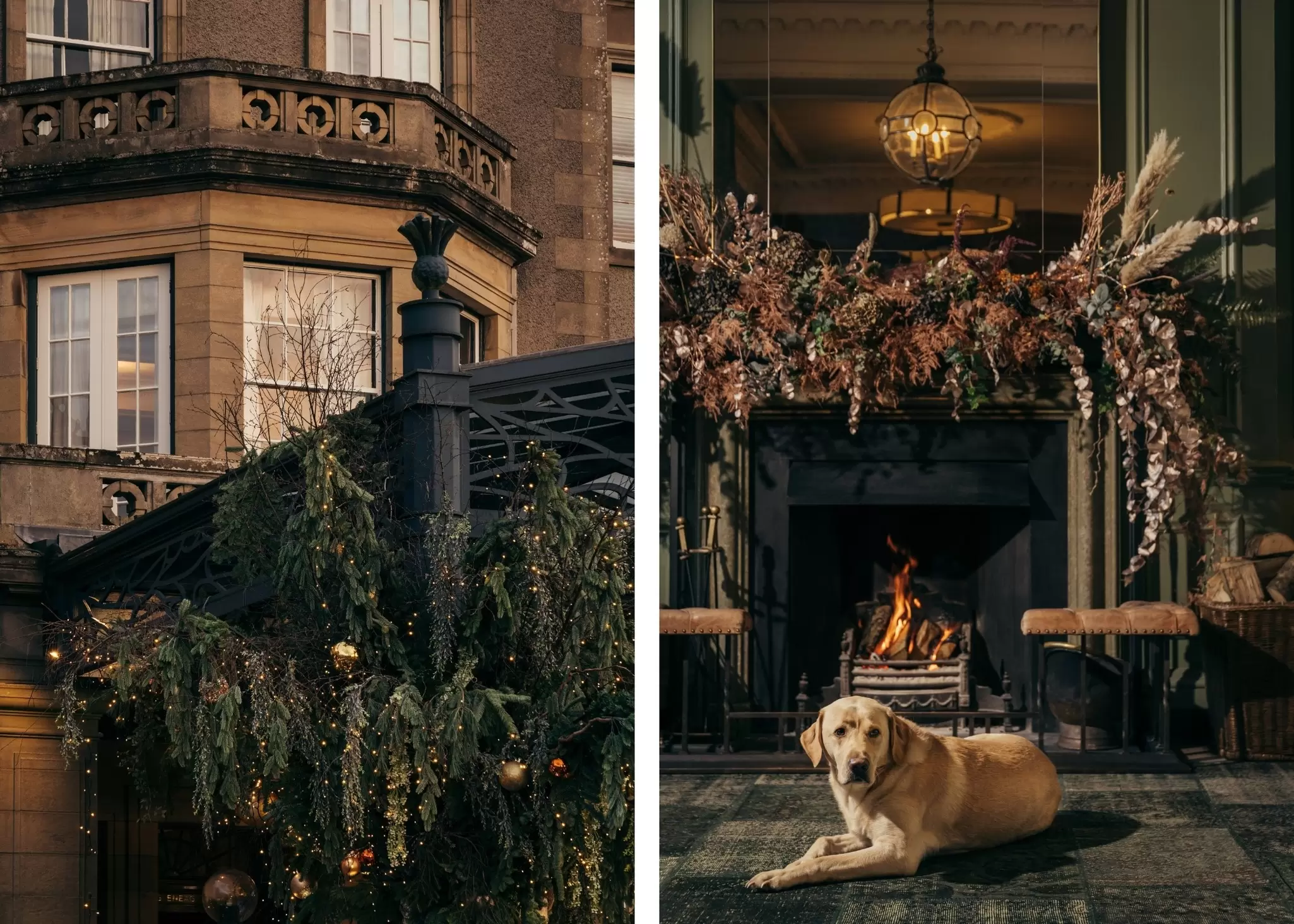 Left: Close-up of holiday garland with lights hanging on the exterior of a building. Right: A cozy, festive fireplace with garland on the mantle and a labrador retriever relaxing beside it.