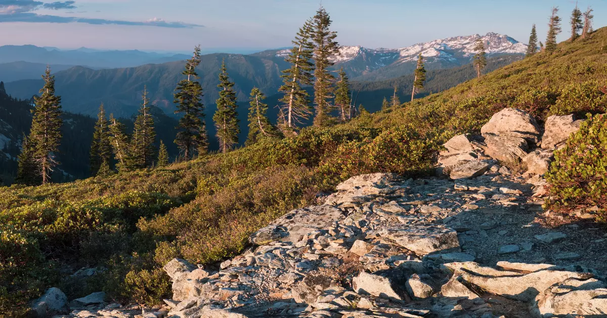 The 17 best things to do in California - Lonely Planet