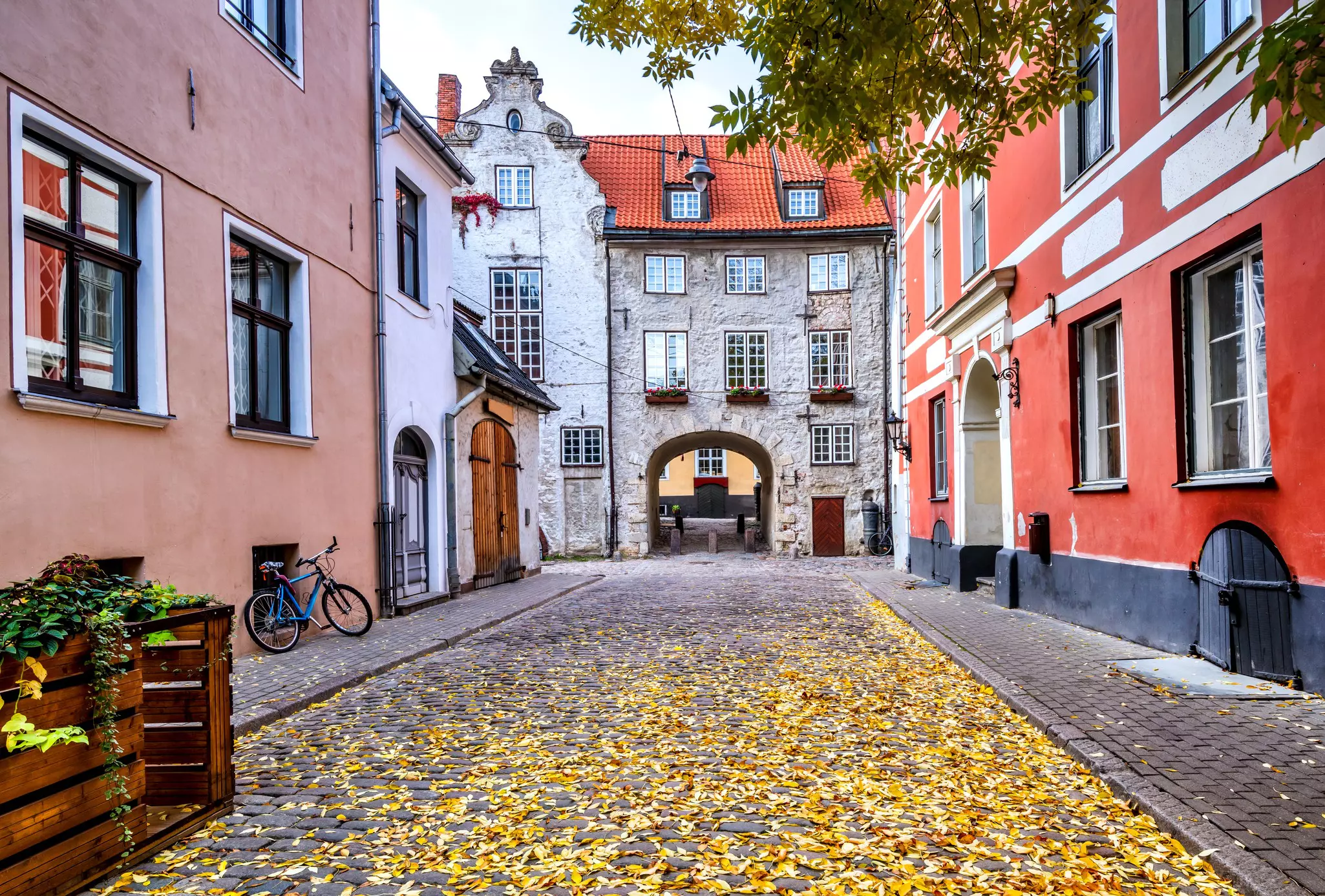Yellow leaves on a narrow cobblestone street surrouned by colorful stucco houses and a stone building with archway in the distance.