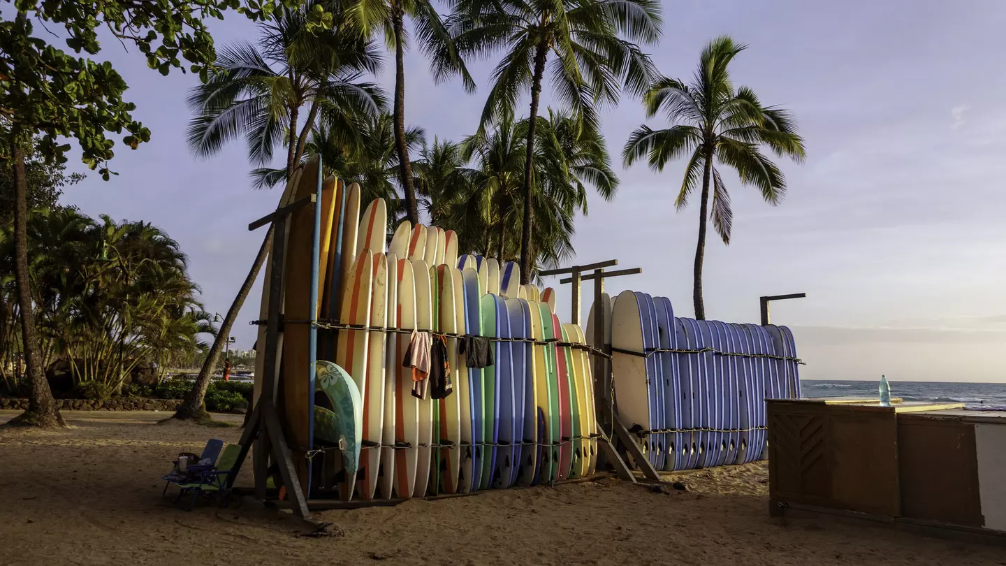 Surfboards at Waikiki Honolulu public beach
1488934609