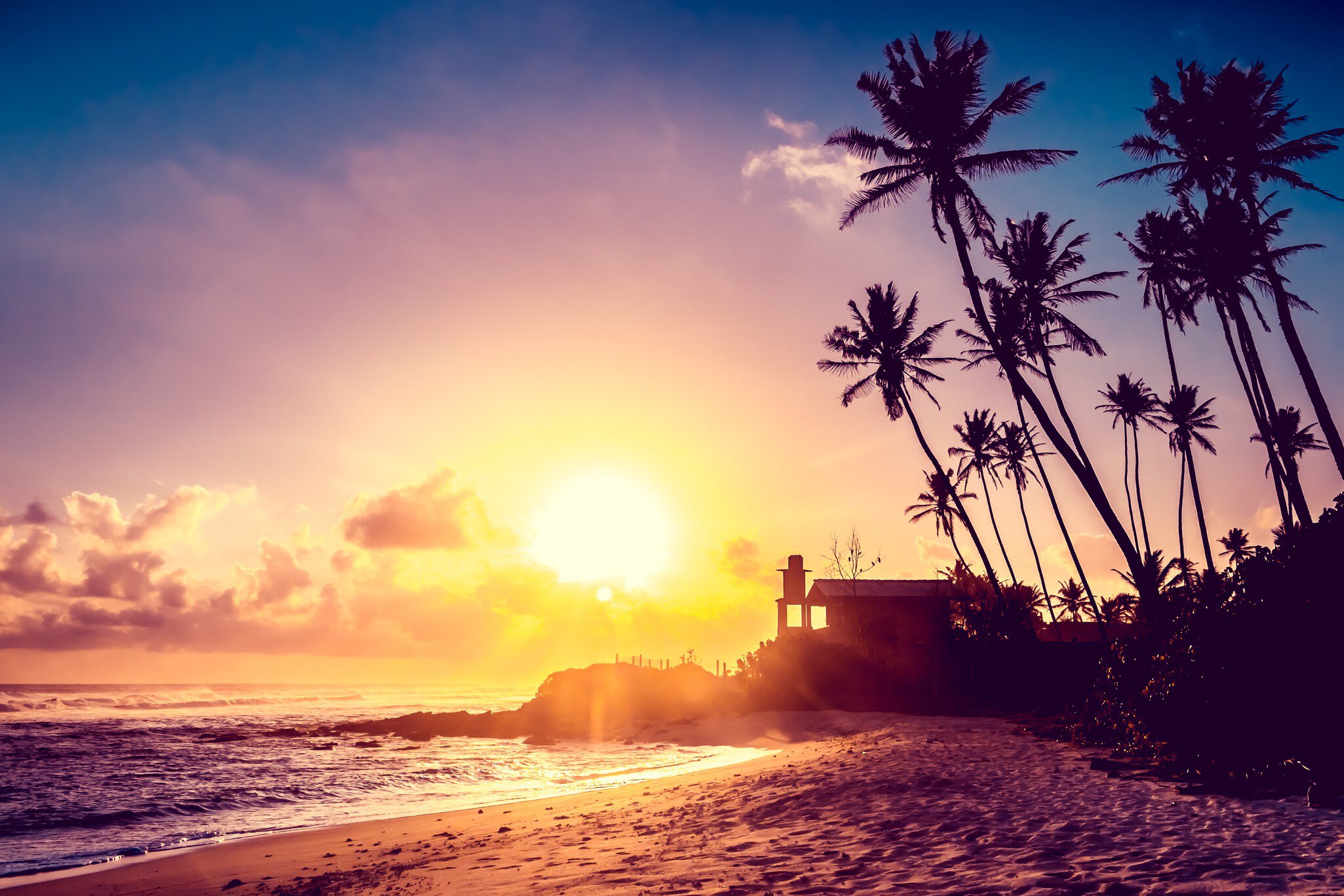 Extremely beautiful  sunset under the coconut plams on Sri Lanka beach.; Shutterstock ID 231391522; Your name (First / Last): Josh Vogel; Project no. or GL code: 56530; Network activity no. or Cost Centre: Online-Design; Product or Project: 65050/7529/Josh Vogel/LP.com Destination Galleries
Extremely beautiful sunset under the coconut plams on Sri Lanka beach.
asia, beach, beam, beautiful, boulder, bush, calm, coco, coconut, color, dawn, dusk, exotic, hill, landscape, lanka, maldives, morning, natural, nature, ocean, orange, palm, pano, panorama, ray, red, rock, sand, sea, shine, silhouette, sri, stone, sun, sunrise, sunset, tangalla, tangalle, tranquil, travel, tree, tropical, vacation, violet, vista, vivid, wave, wide, wild