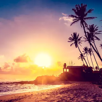 Extremely beautiful  sunset under the coconut plams on Sri Lanka beach.; Shutterstock ID 231391522; Your name (First / Last): Josh Vogel; Project no. or GL code: 56530; Network activity no. or Cost Centre: Online-Design; Product or Project: 65050/7529/Josh Vogel/LP.com Destination Galleries
Extremely beautiful sunset under the coconut plams on Sri Lanka beach.
asia, beach, beam, beautiful, boulder, bush, calm, coco, coconut, color, dawn, dusk, exotic, hill, landscape, lanka, maldives, morning, natural, nature, ocean, orange, palm, pano, panorama, ray, red, rock, sand, sea, shine, silhouette, sri, stone, sun, sunrise, sunset, tangalla, tangalle, tranquil, travel, tree, tropical, vacation, violet, vista, vivid, wave, wide, wild