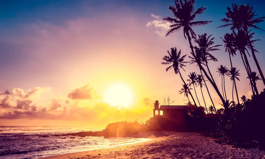 Extremely beautiful  sunset under the coconut plams on Sri Lanka beach.; Shutterstock ID 231391522; Your name (First / Last): Josh Vogel; Project no. or GL code: 56530; Network activity no. or Cost Centre: Online-Design; Product or Project: 65050/7529/Josh Vogel/LP.com Destination Galleries
Extremely beautiful sunset under the coconut plams on Sri Lanka beach.
asia, beach, beam, beautiful, boulder, bush, calm, coco, coconut, color, dawn, dusk, exotic, hill, landscape, lanka, maldives, morning, natural, nature, ocean, orange, palm, pano, panorama, ray, red, rock, sand, sea, shine, silhouette, sri, stone, sun, sunrise, sunset, tangalla, tangalle, tranquil, travel, tree, tropical, vacation, violet, vista, vivid, wave, wide, wild