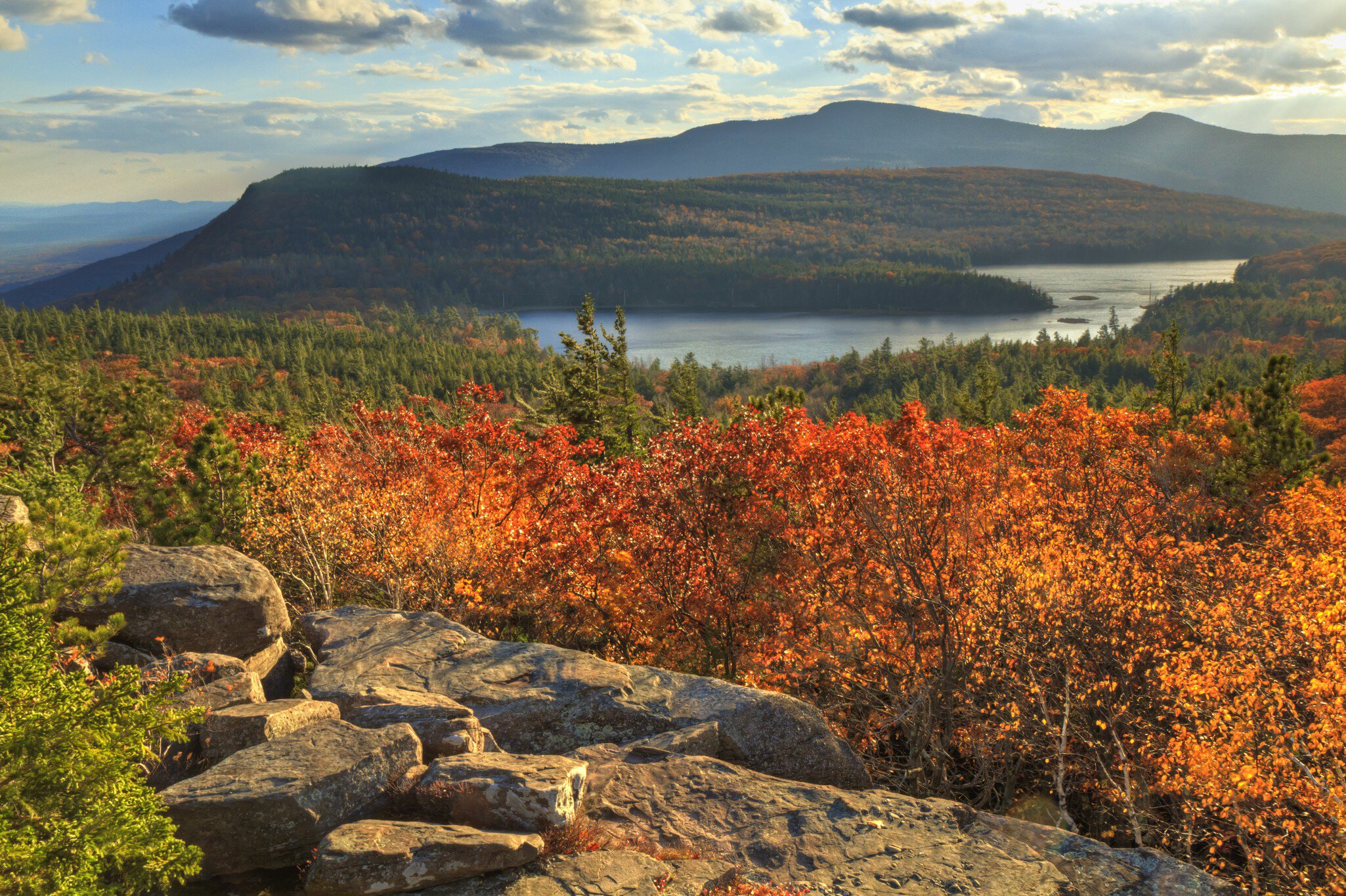 Fall leaves in the Hudson Valley. 