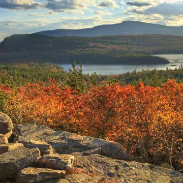 Fall leaves in the Hudson Valley. 