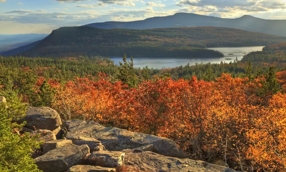 Fall leaves in the Hudson Valley. 