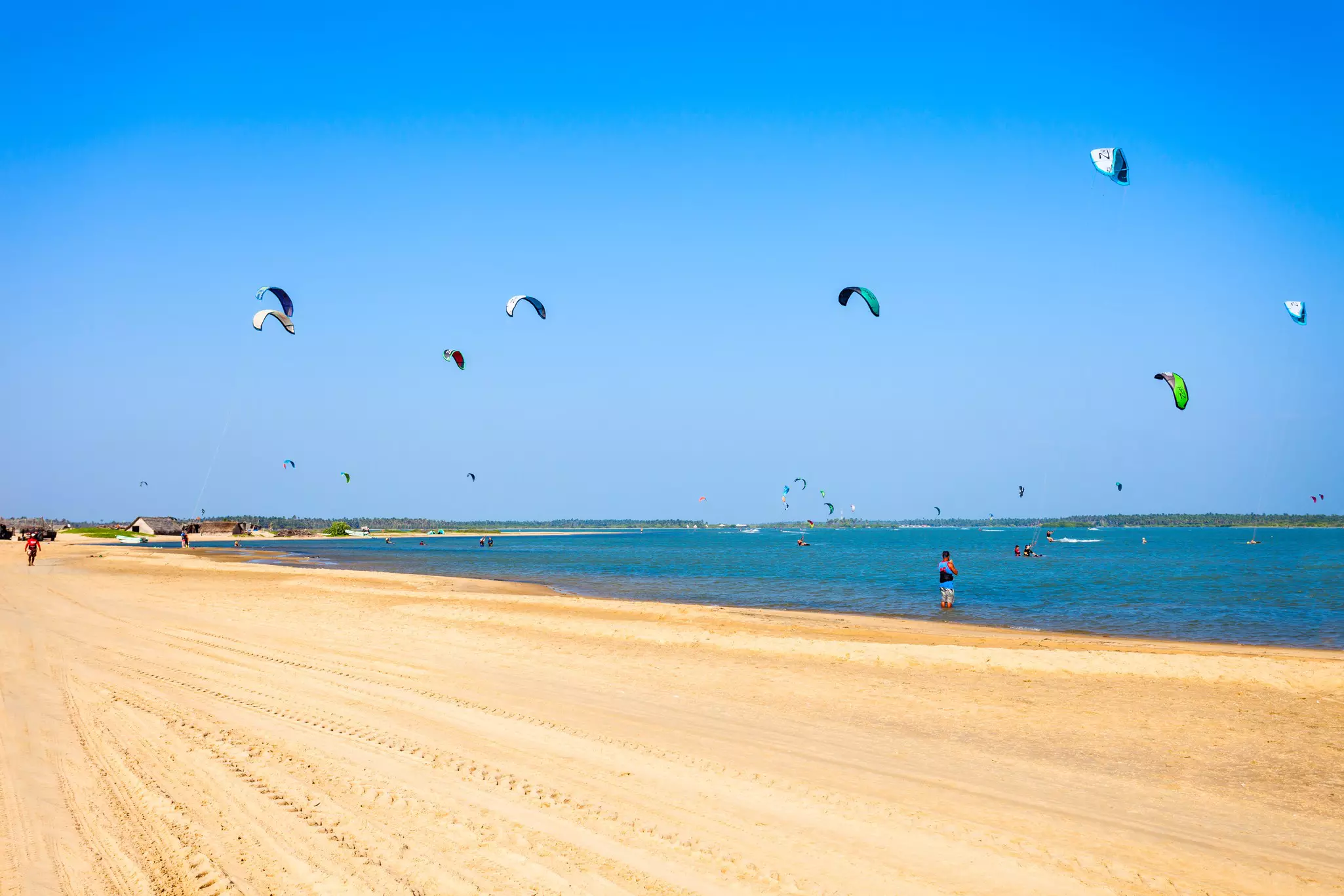 A wide golden sandy beach with many large kite out at sea where kitesurfers sail.