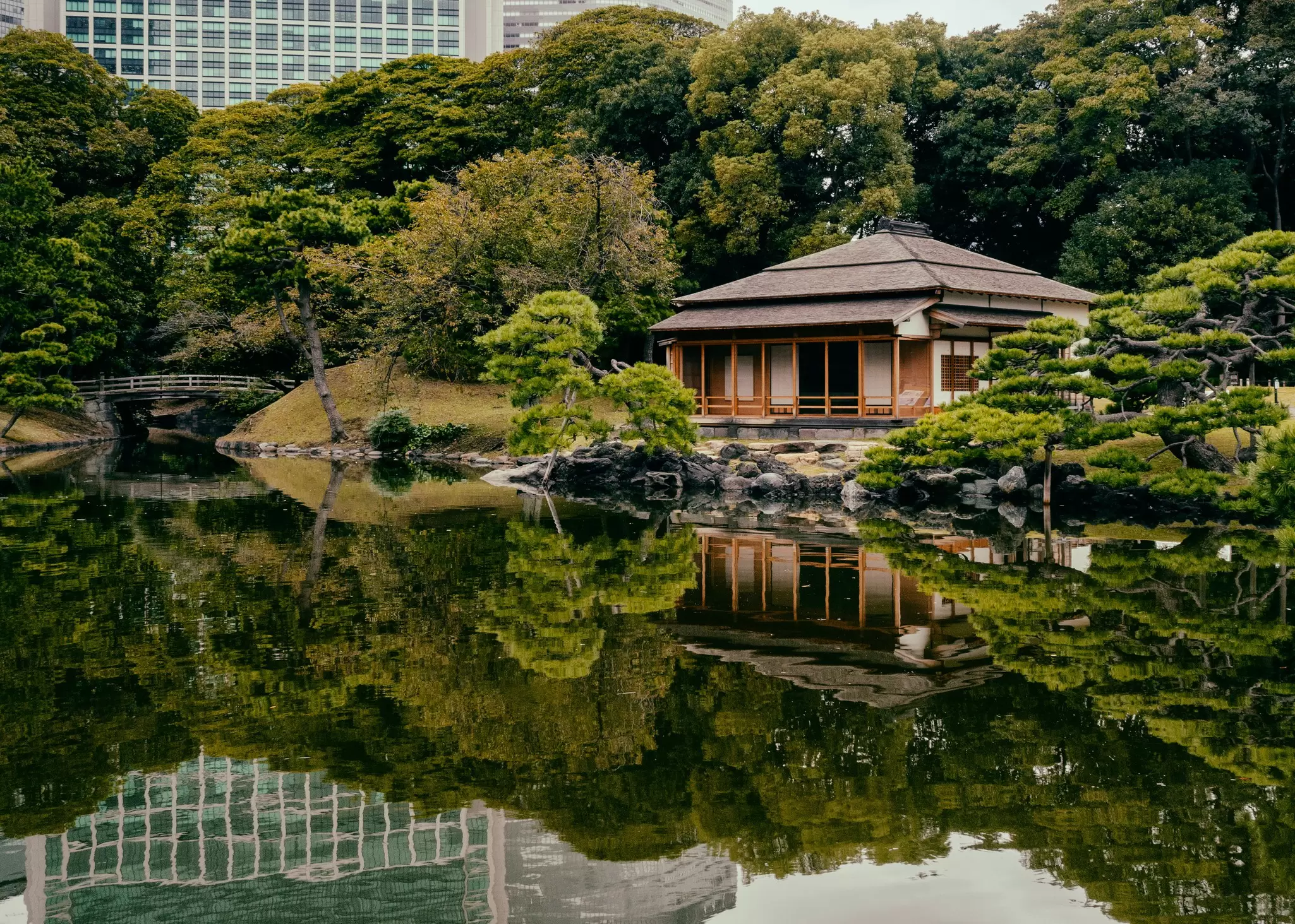 Tokyo Hama Rikyu Gardens, Tokyo, Japan.