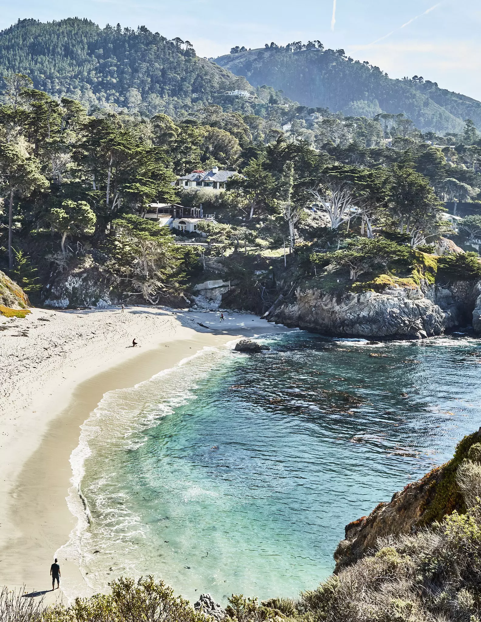 Point Lobos State Natural Reserve is another good spot to break up the winding route along the coast © The Ingalls Family / Lonely Planet