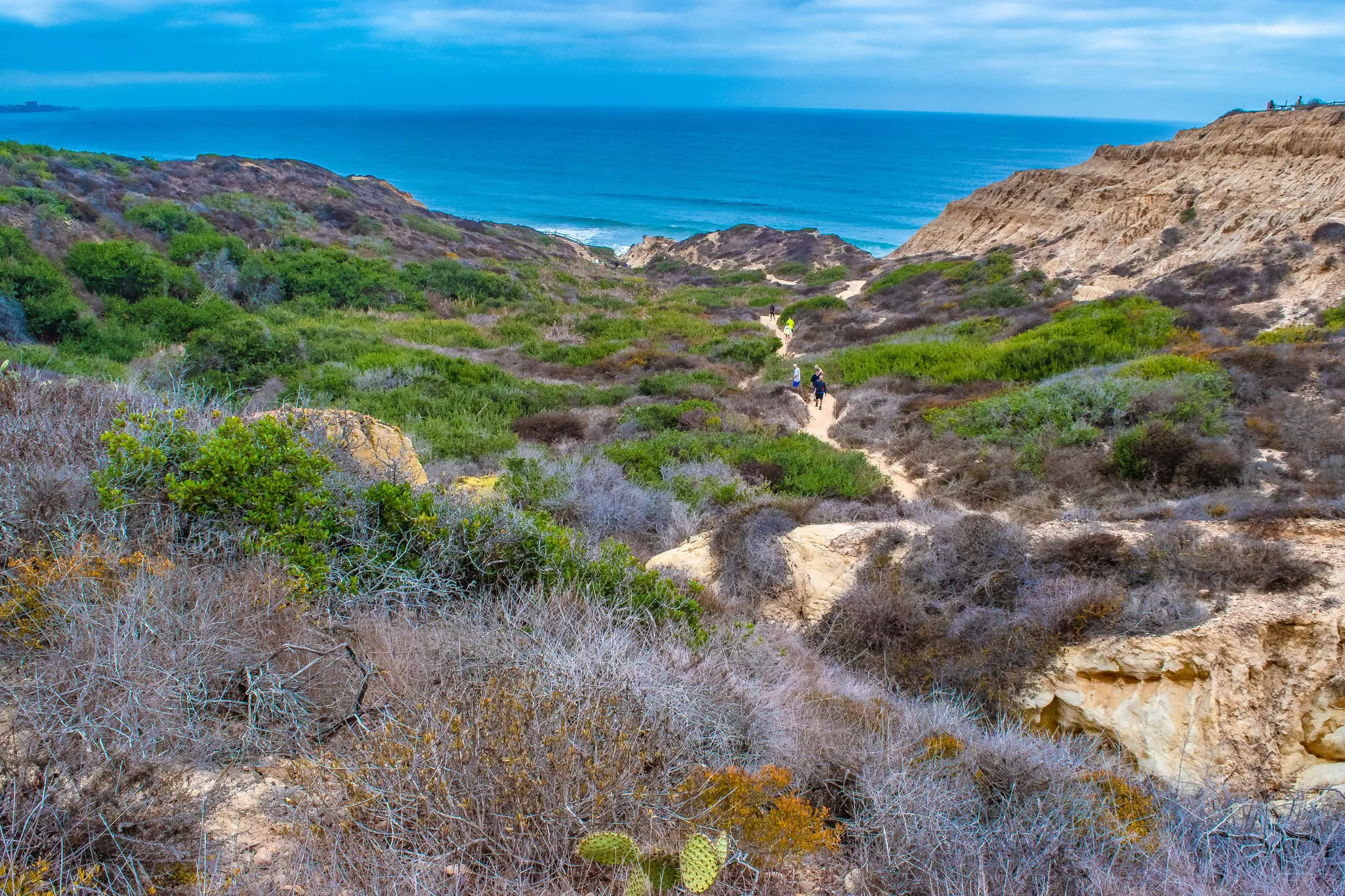 Gorgeous Early Morning Hike in La Jolla, California
