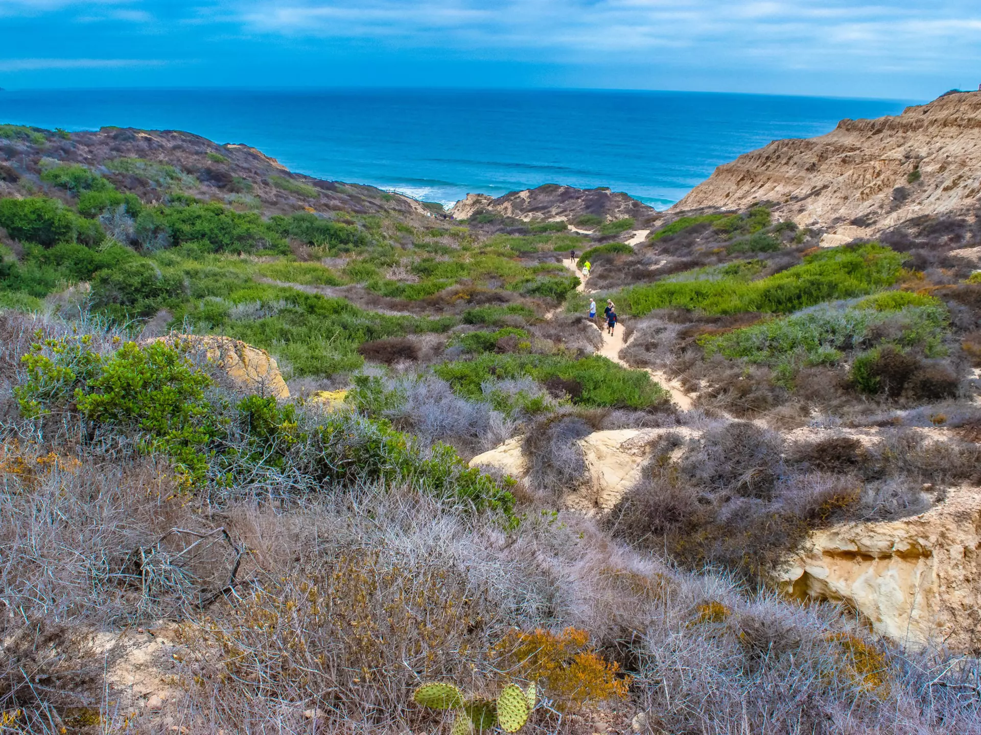 Gorgeous Early Morning Hike in La Jolla, California