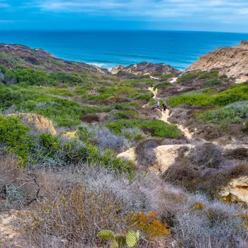 Gorgeous Early Morning Hike in La Jolla, California