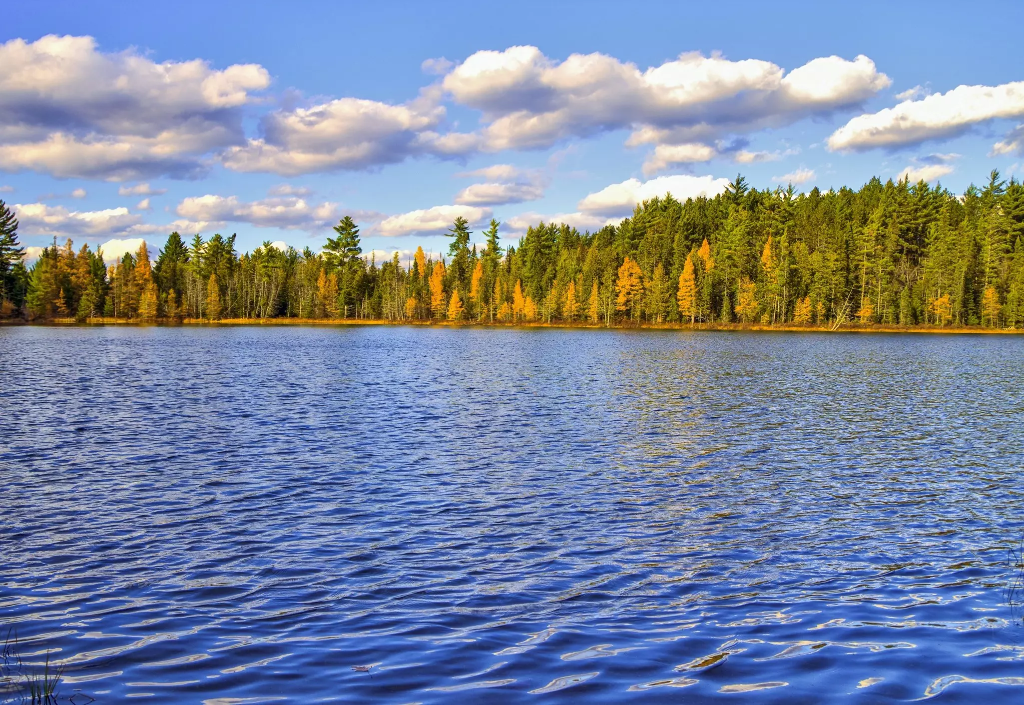 Au Sable River Foot Trail runs through Hartwick Pines State Park © ehrlif / Getty Images
