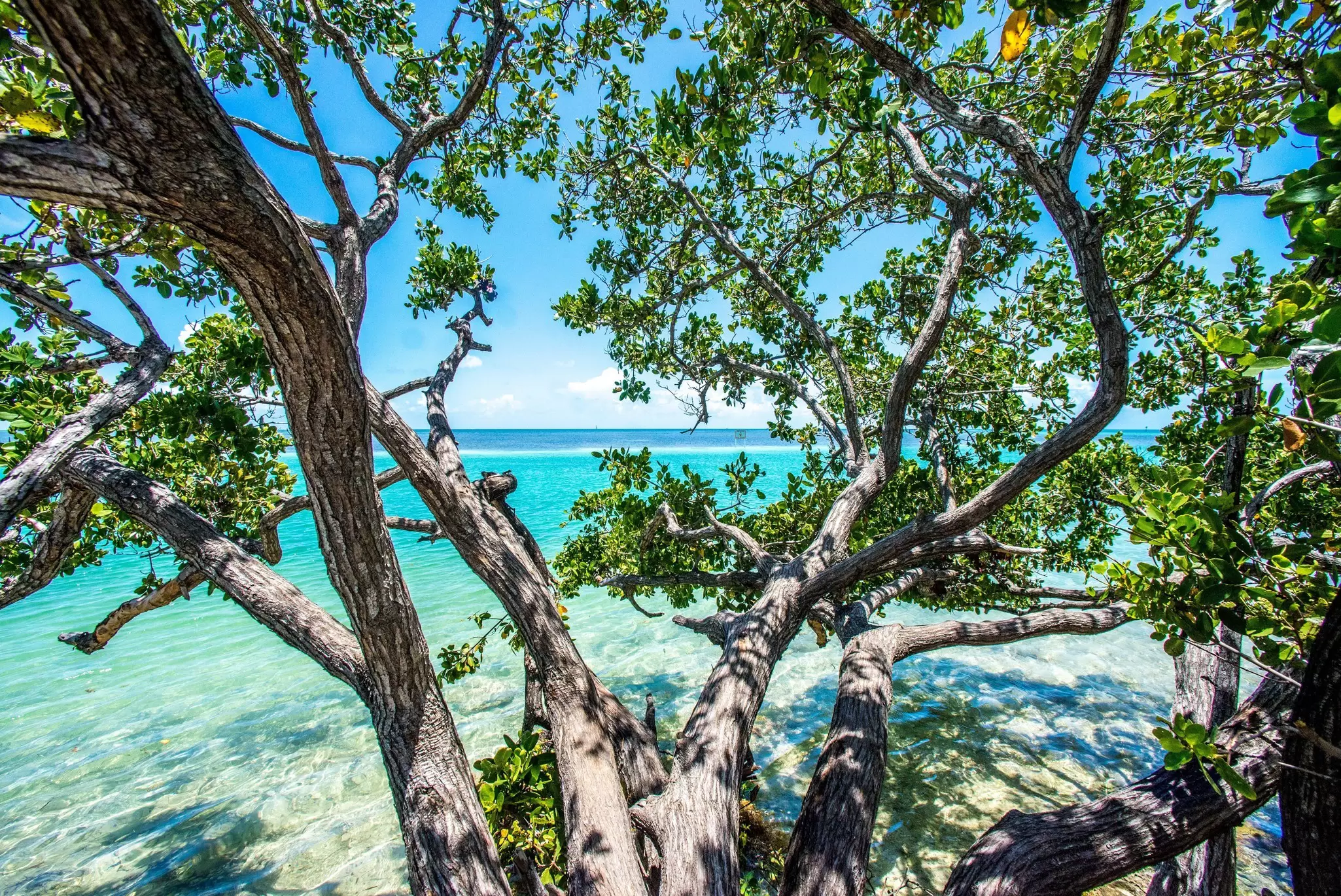 Indian Key, off Islamorada, in the Florida Keys. Phillip Sunkel IV/Shutterstock