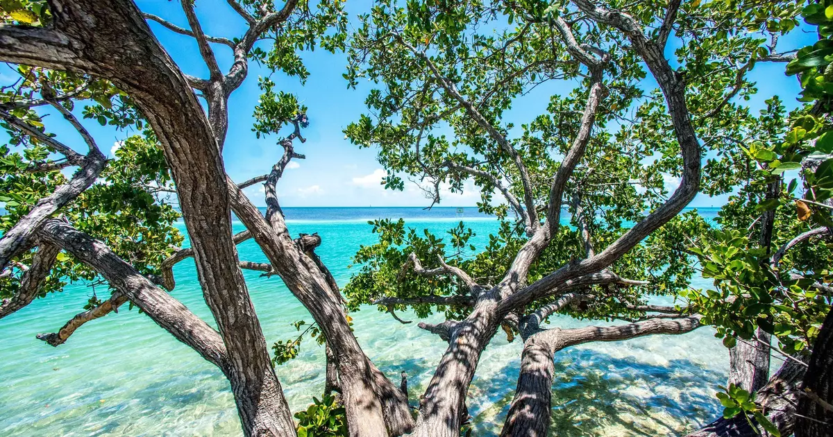 6 fabulous things to do in Islamorada, Florida - Lonely Planet