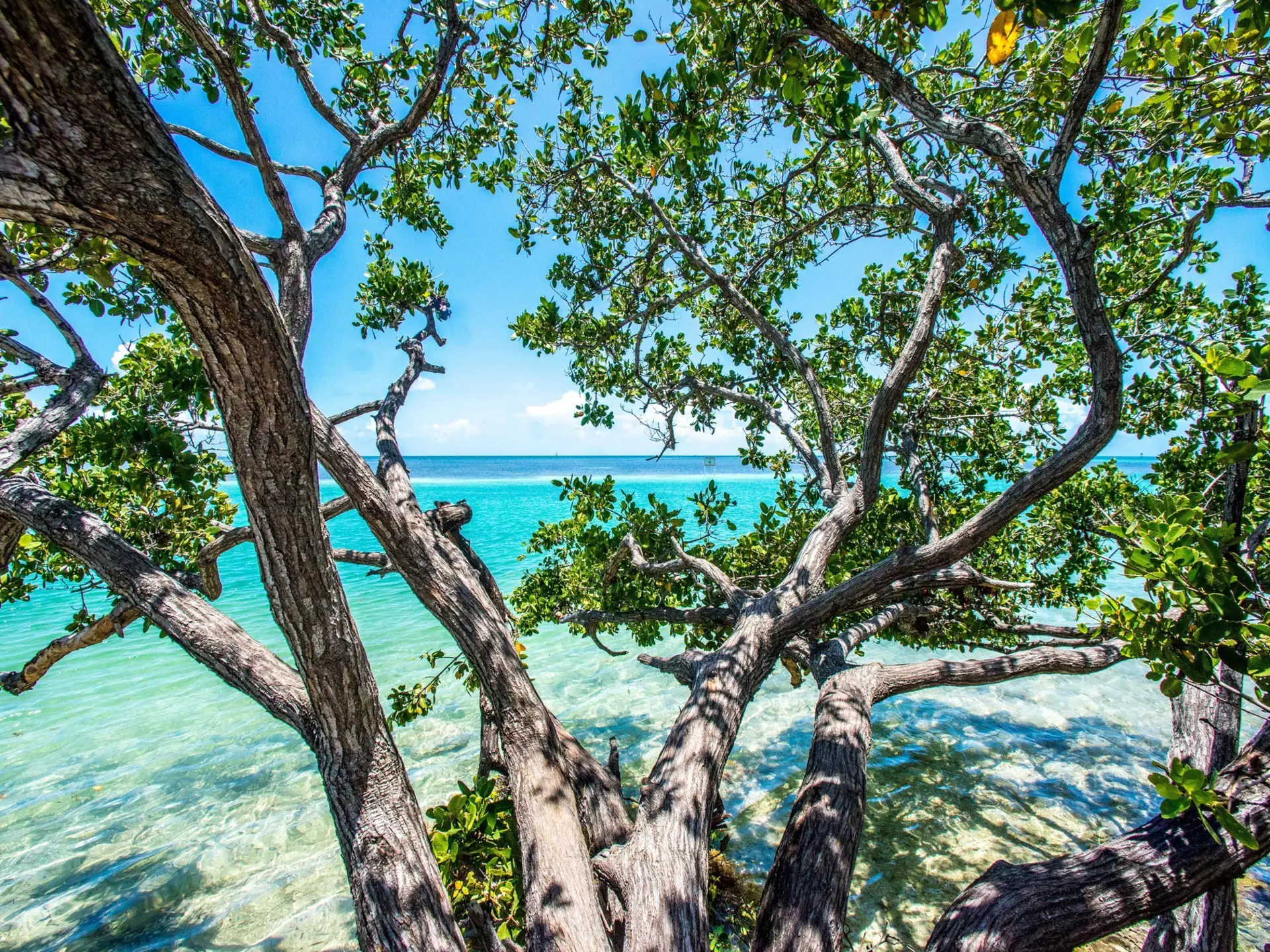 Indian Key, off Islamorada, in the Florida Keys. Phillip Sunkel IV/Shutterstock