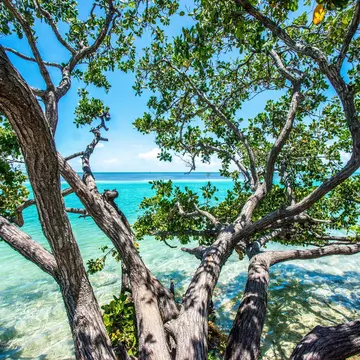 Indian Key, off Islamorada, in the Florida Keys. Phillip Sunkel IV/Shutterstock