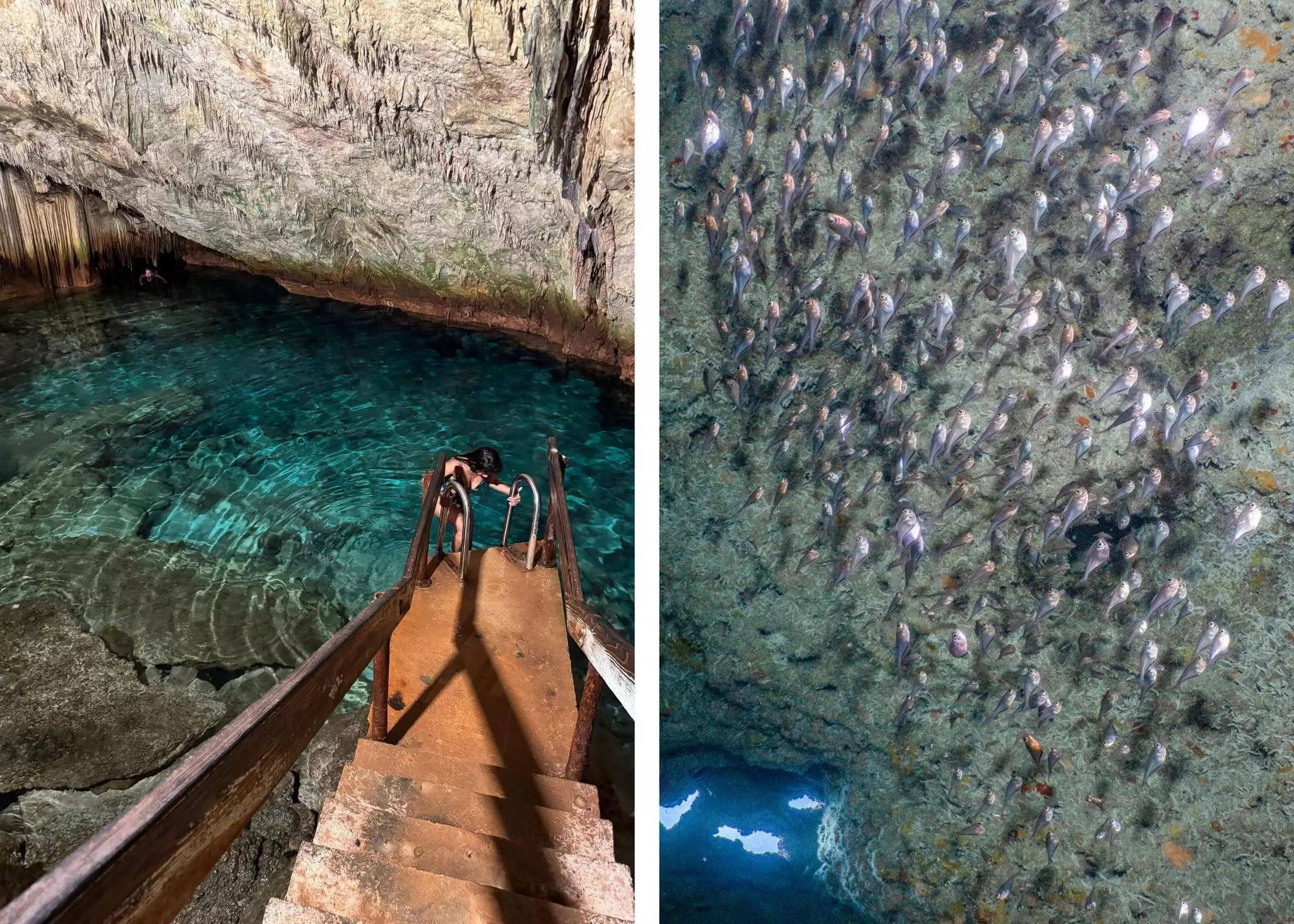 A person at the end of a long wooden staircase over water on the left; a school of pinkish silver fish on the right.