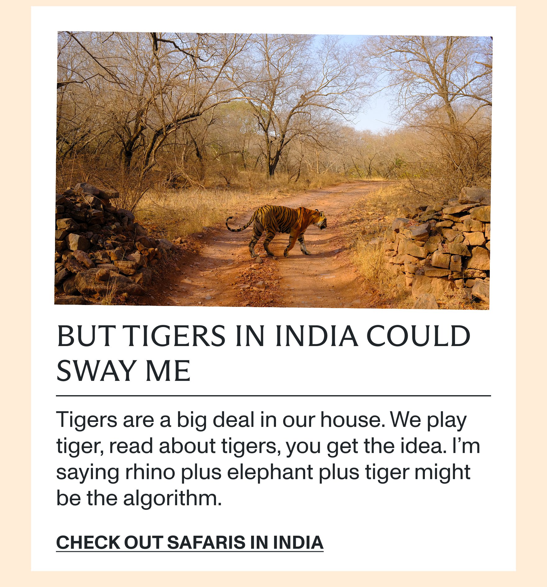 Check out safaris in India