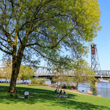 Flowering cherry trees beside the Willamette River with a lift bridge behind