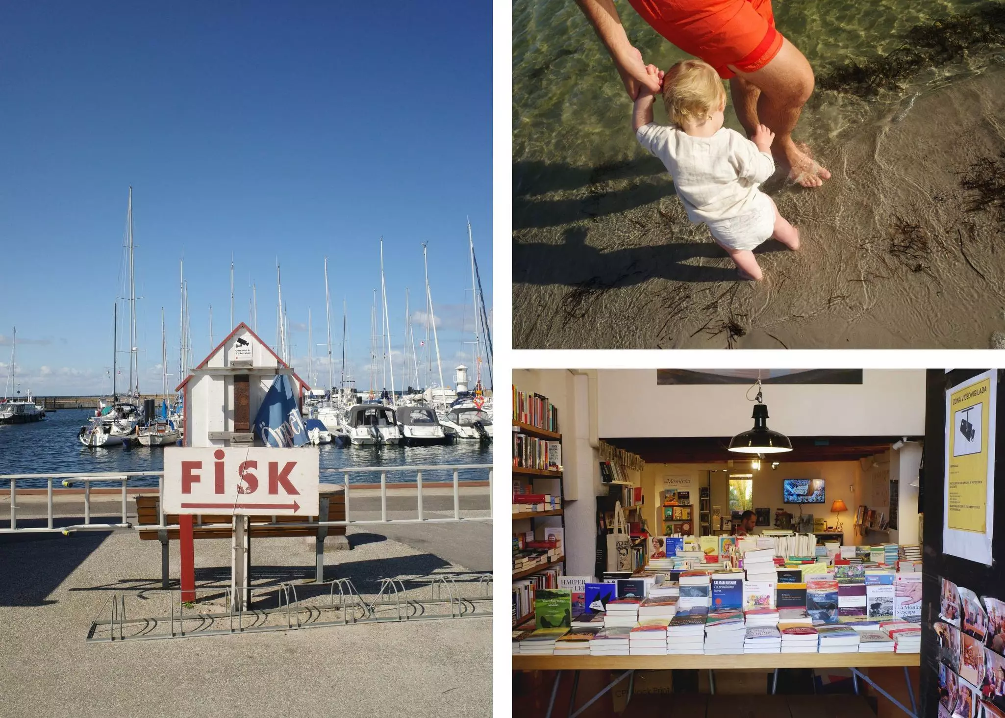 Collage for "Our editors' favorite cameras for travel"

Left: Boats in Skanör-Falsterbo, Sweden. Top right: Playing at the beach in Skanör-Falsterbo. Bottom Right: A bookshop in Barcelona, Spain. Pia Peterson Haggarty/Lonely Planet (3)