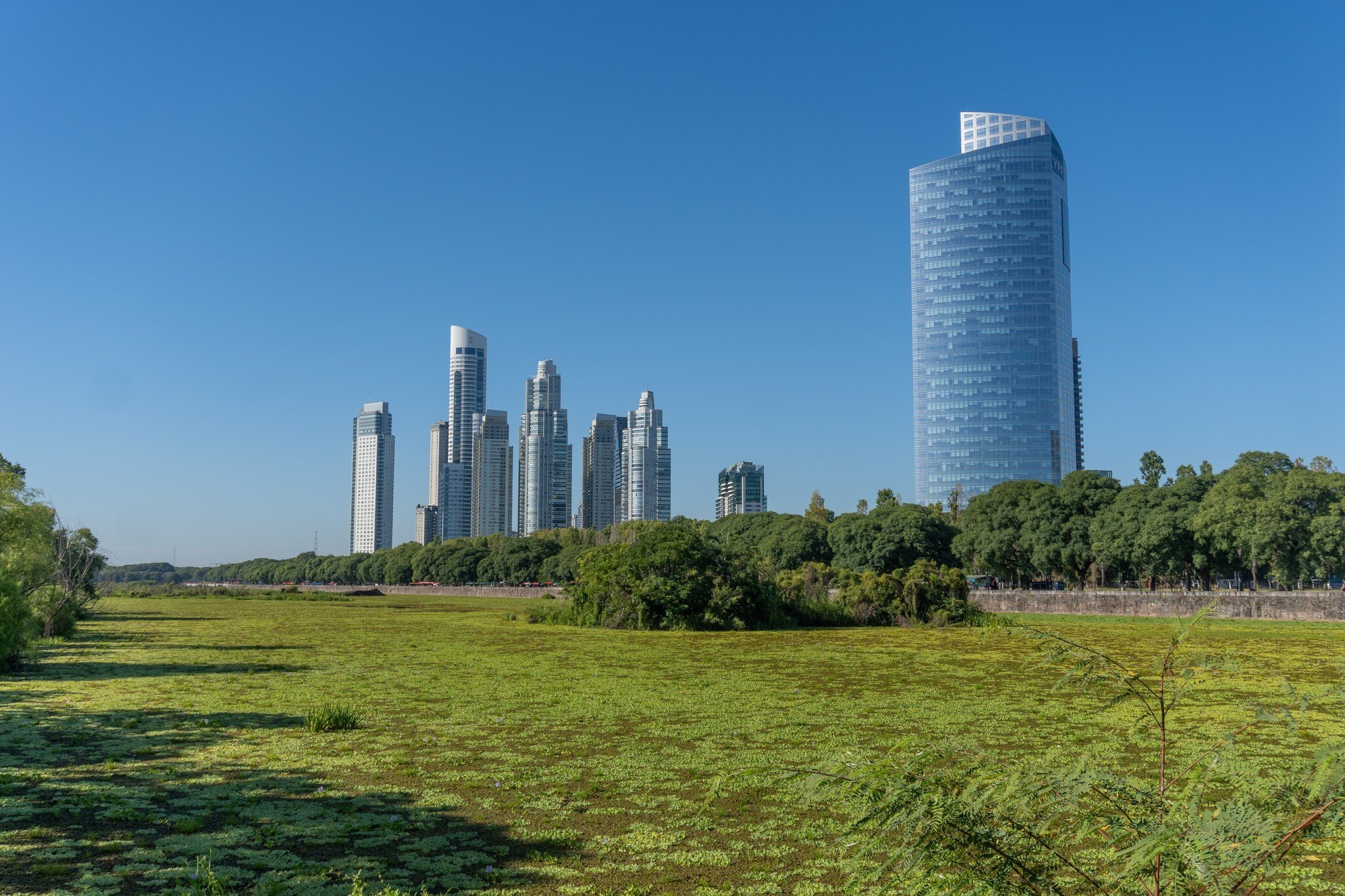 Reclaimed wetlands in Reserva Ecológica Costanera Sur Park Reserve in Buenos Aires, Argentina.