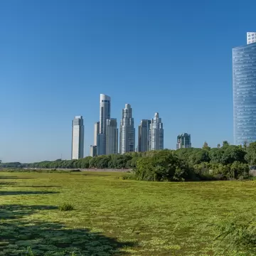 Reclaimed wetlands in Reserva Ecológica Costanera Sur Park Reserve in Buenos Aires, Argentina.