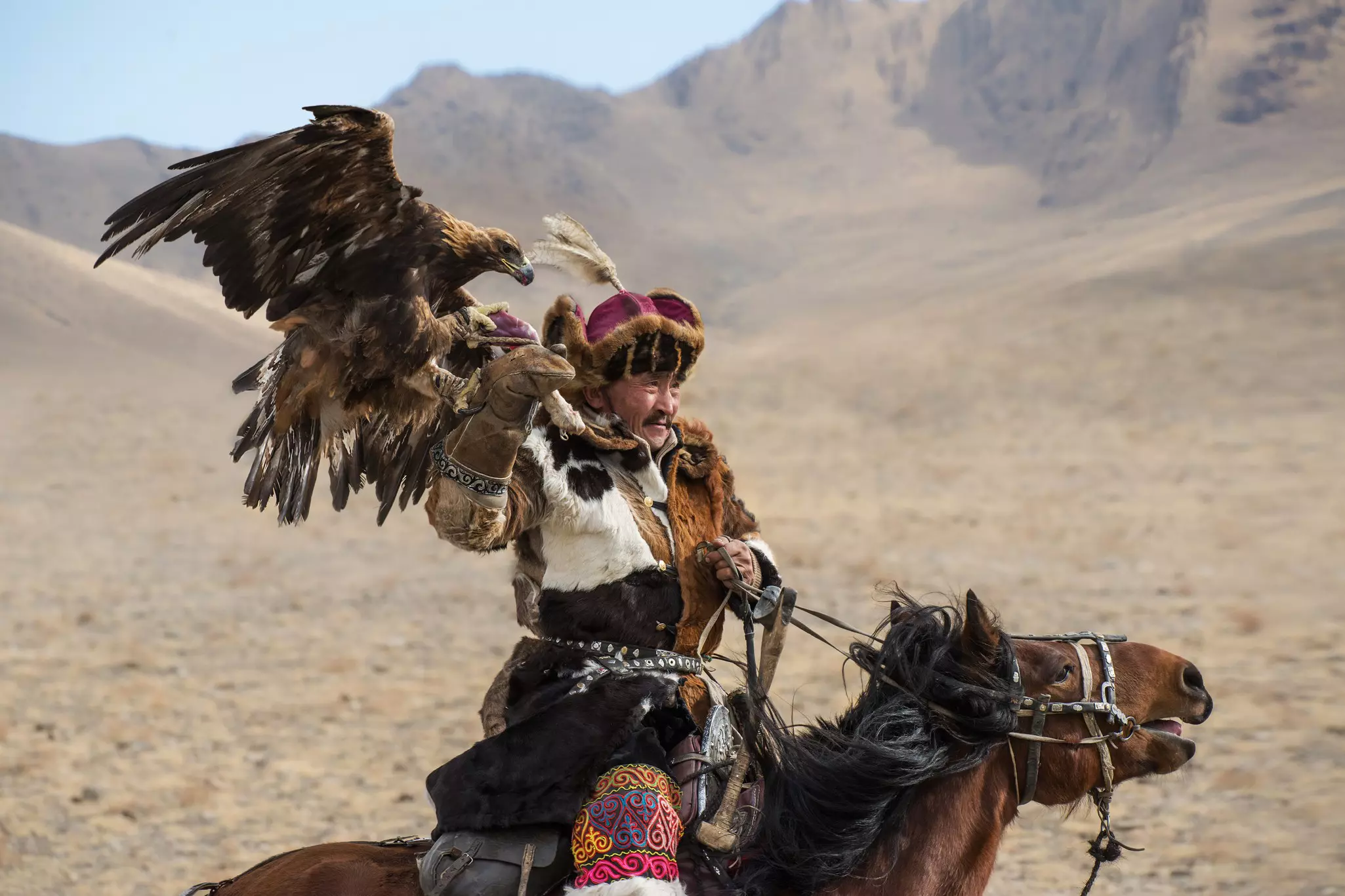 A Kazakh eagle hunter competing in the Golden Eagle Festival