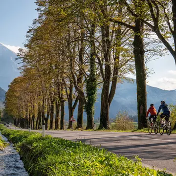 Here's how to plan a cycling trip on the new Alpina Mediterranean Cycle Route. Matevž Hribar 
