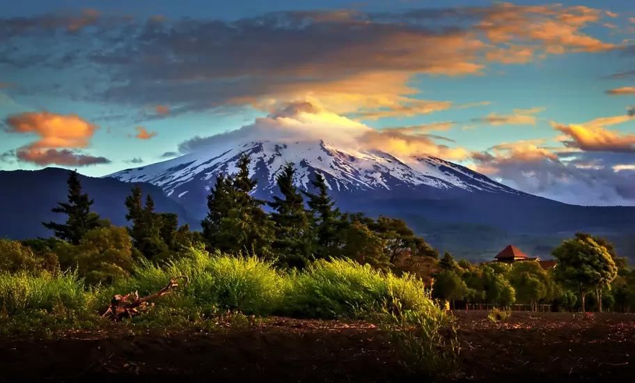 Snow-covered Villarrica volcano near Pucón, Chile, capped by cloud at sunset behind conifers and a ploughed field