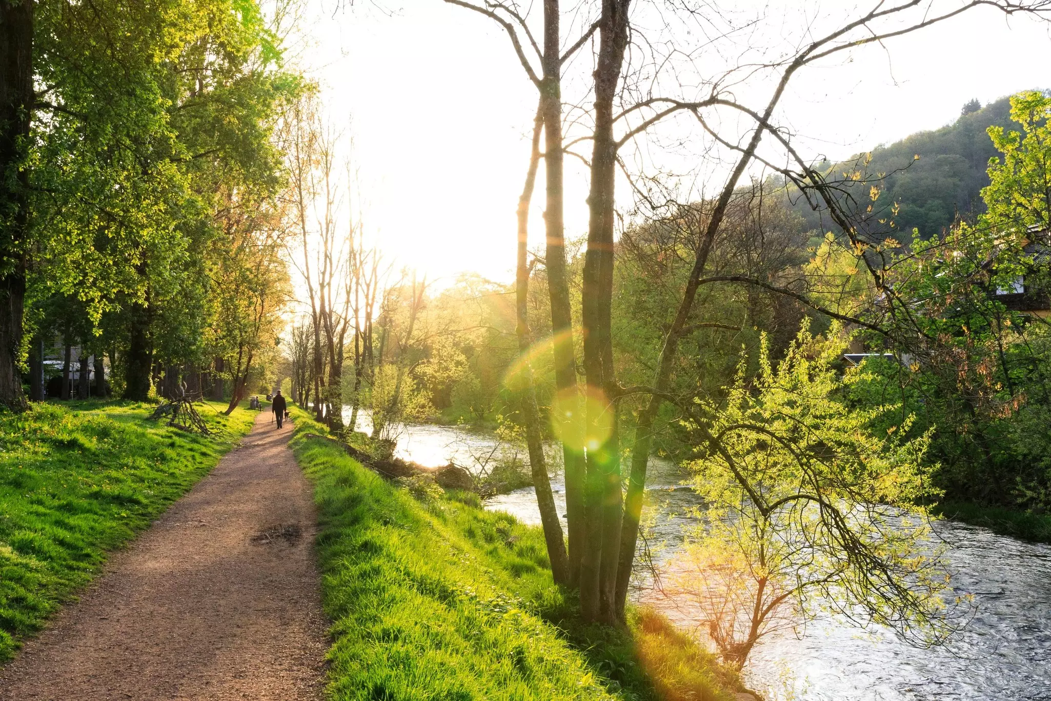 Path by Dreisam River