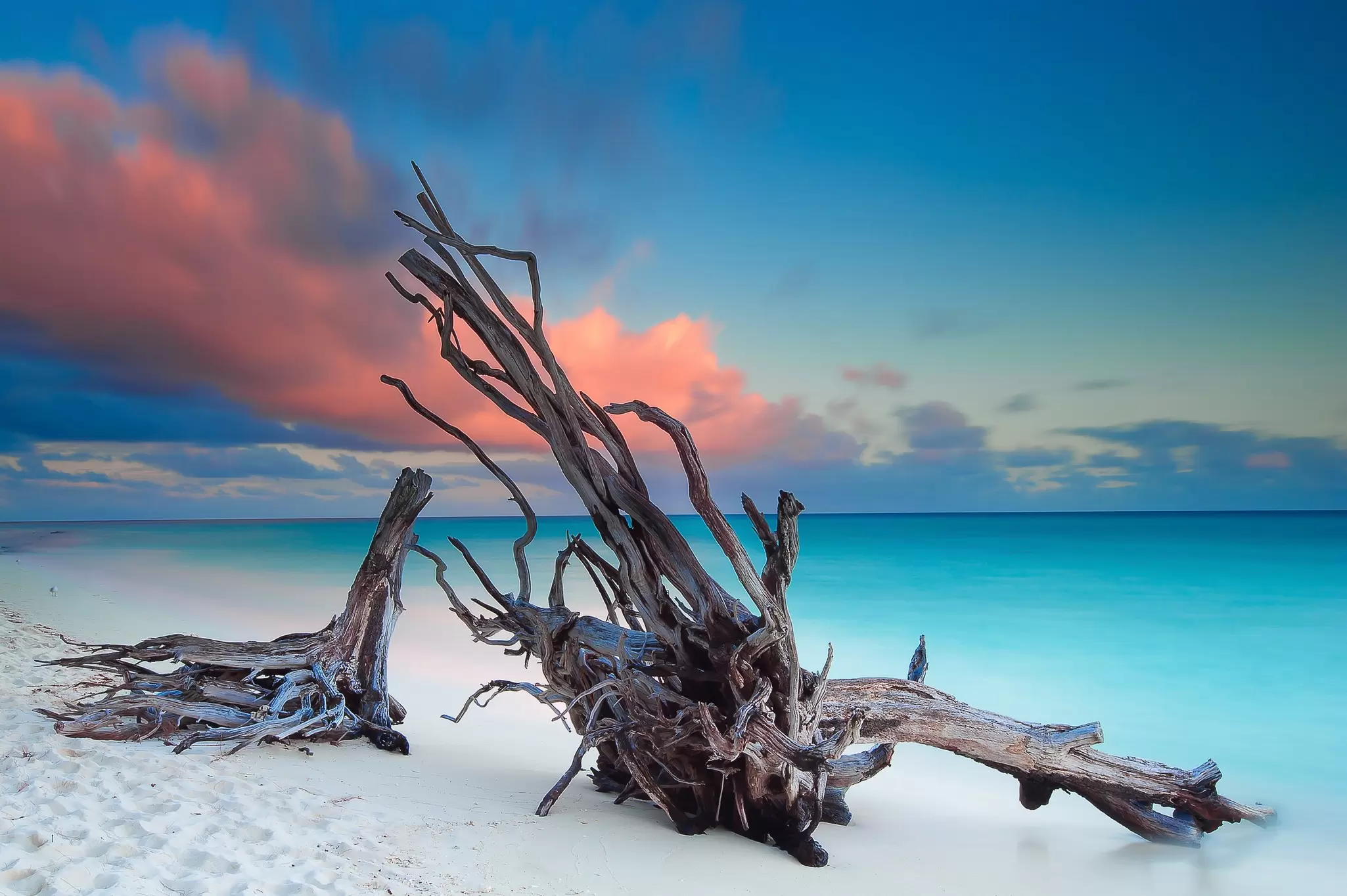 The pristine North Beach on Heron Island. Bruce Hood / Getty Images