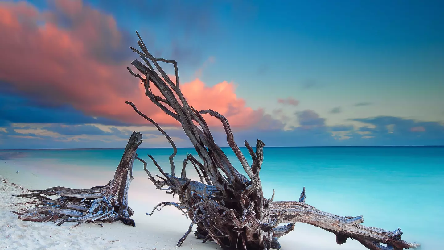 The pristine North Beach on Heron Island. Bruce Hood / Getty Images