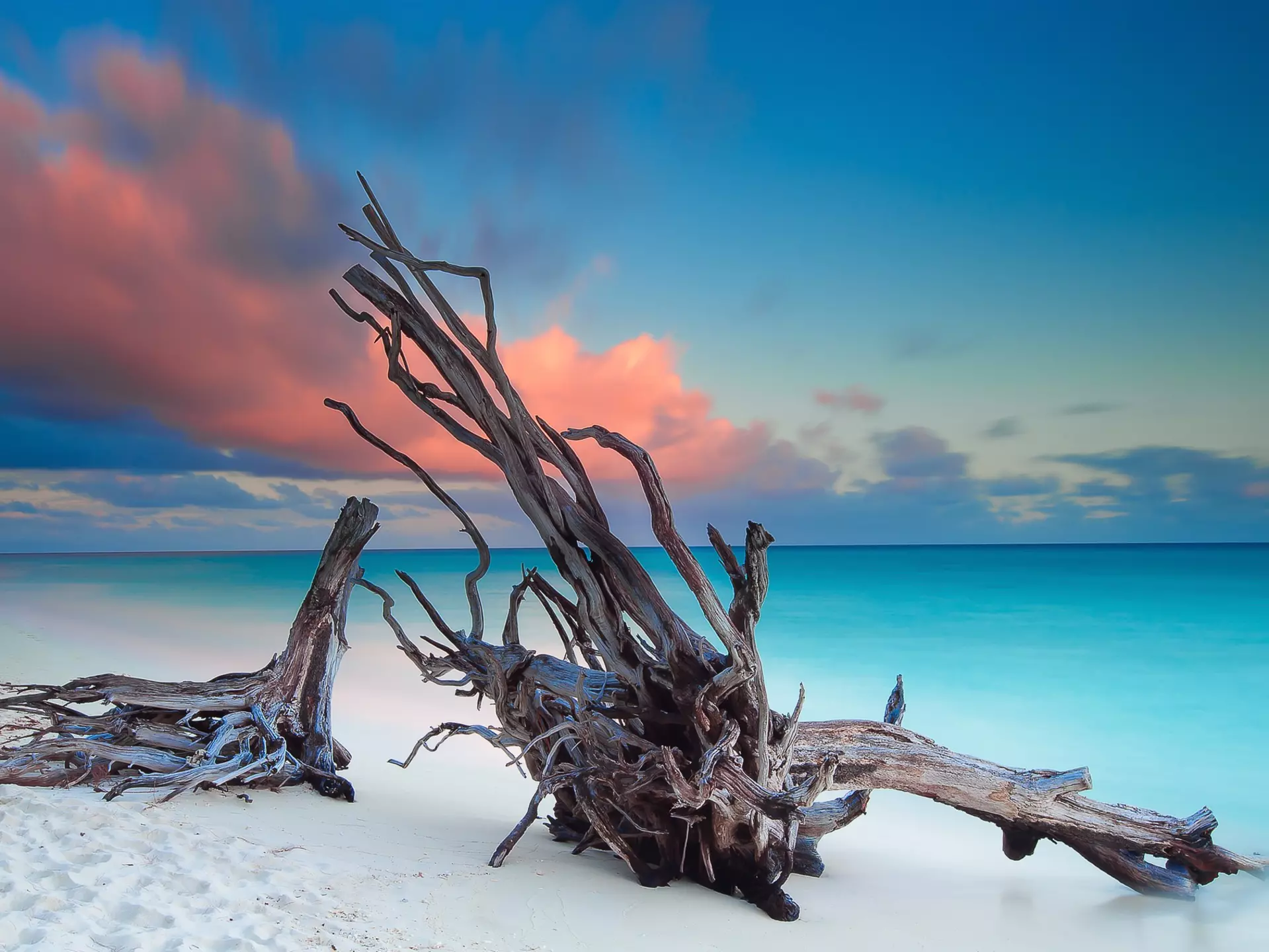 The pristine North Beach on Heron Island. Bruce Hood / Getty Images