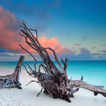 The pristine North Beach on Heron Island. Bruce Hood / Getty Images