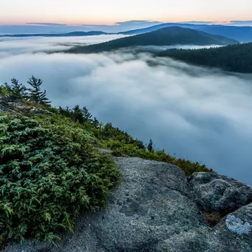 Mountain of fog rising from Echo Lake at dawn in Acadia National Park.
940395396
Horizontal, Color Image, Dawn, Tranquil Scene, Non-Urban Scene, Echo Lake, No People, Acadia National Park, USA, Tranquility, Landscape - Scenery, Mountain, Fog, Outdoors, Maine, Photography, Beauty In Nature, Nature