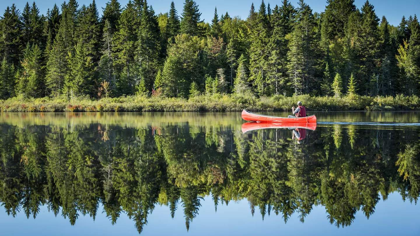 Is there a better way to explore Canada's wilderness than from a Canadian canoe? Tom Robinson / Lonely Planet