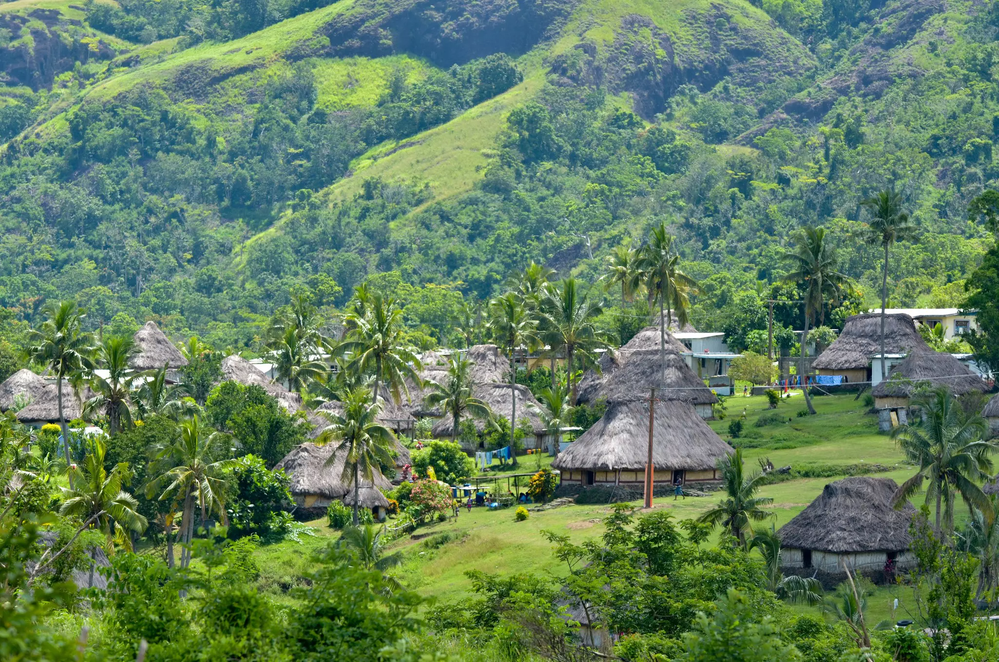 Traditional thatched huts in among greenery and tall palm trees at the foot of a hill.