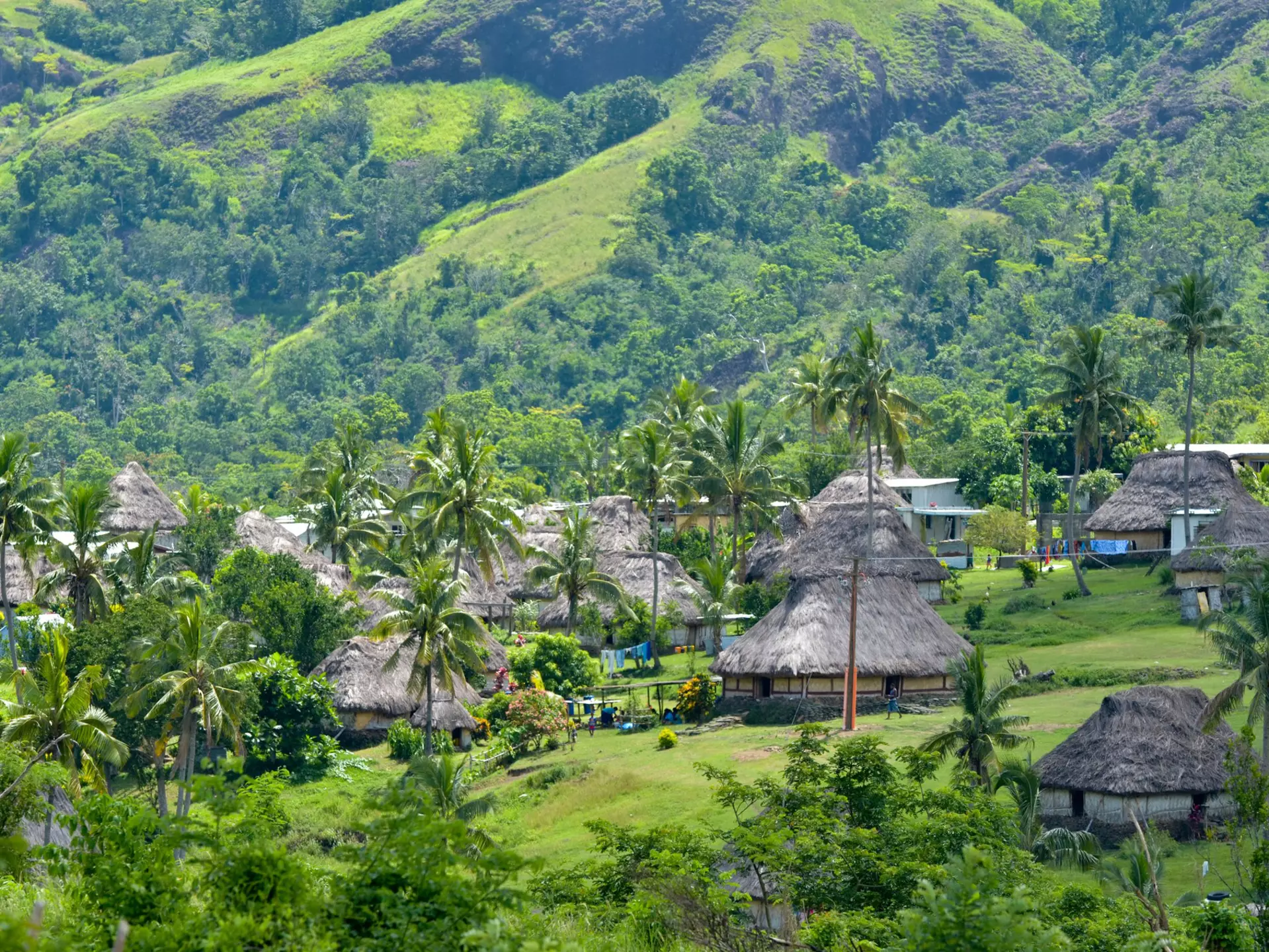 Traditional thatched huts in among greenery and tall palm trees at the foot of a hill.