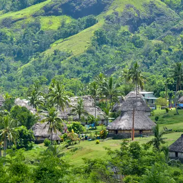 Traditional thatched huts in among greenery and tall palm trees at the foot of a hill.