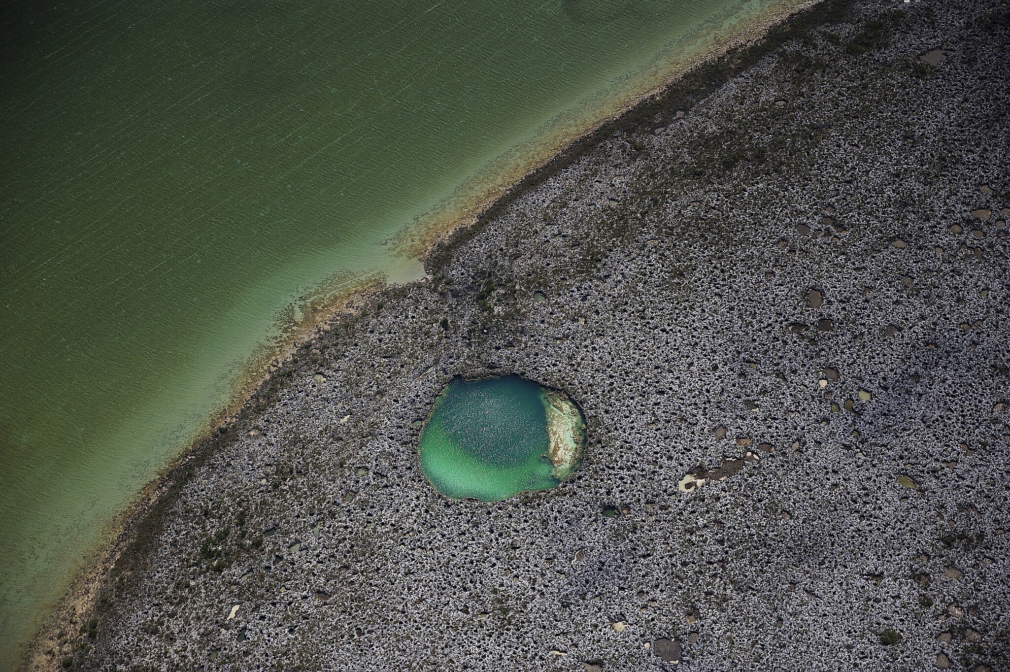 Blue hole on Andros Island, Bahamas.
