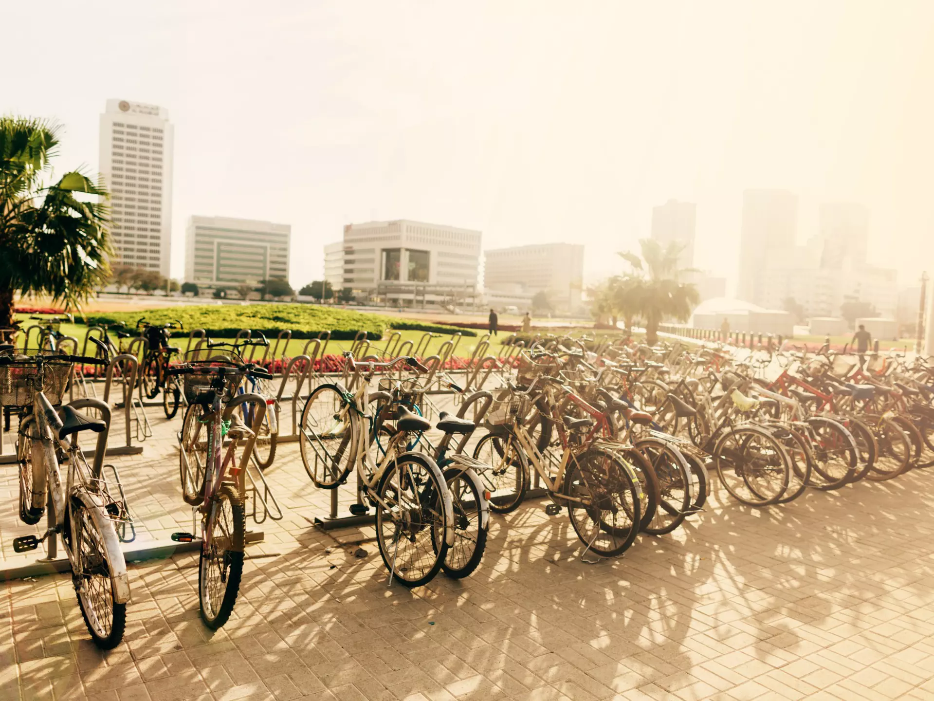 Bicycles parked on the street in Dubai, United Arab Emirates
