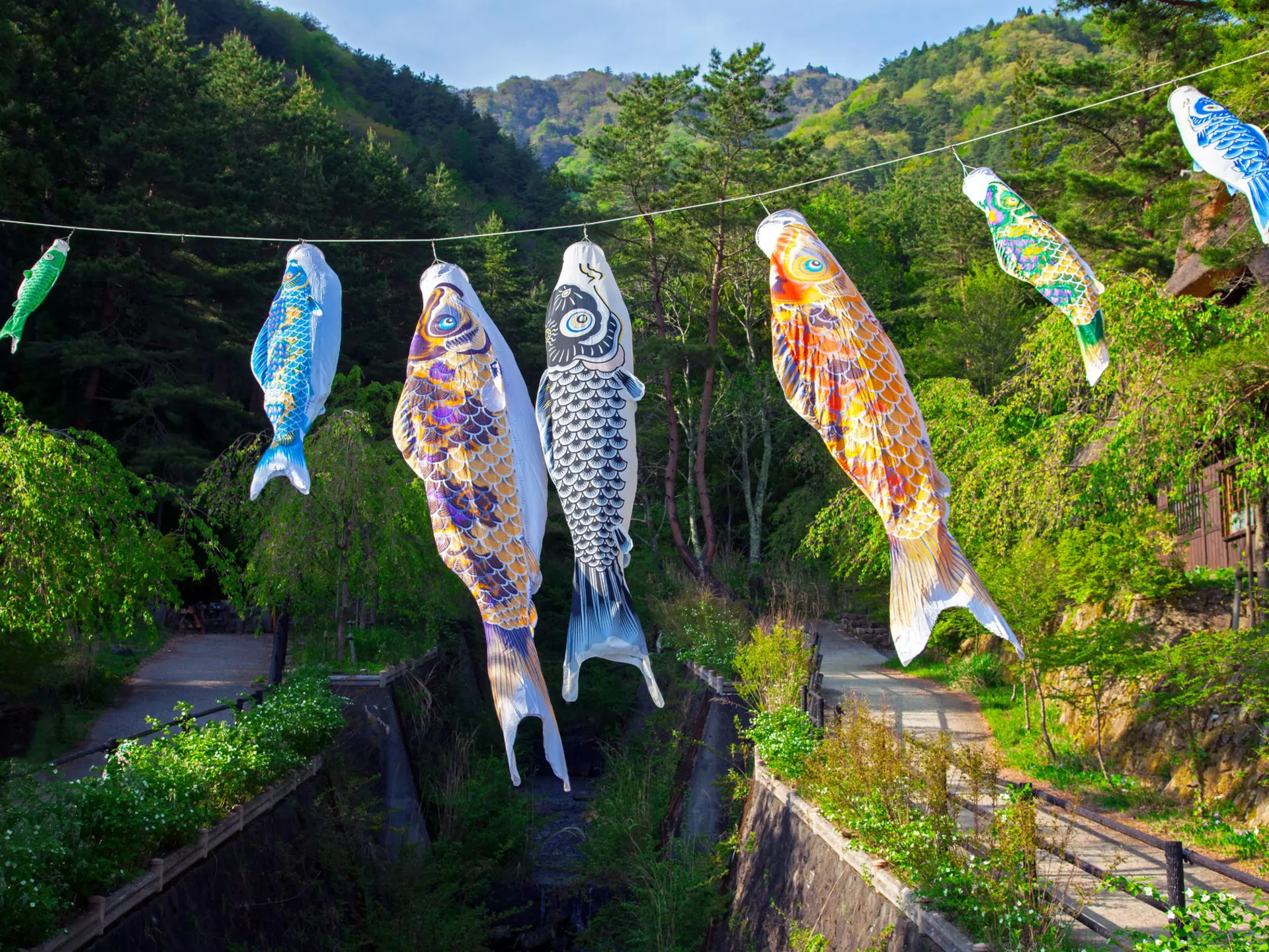 Flying carp streamers to mark Children's Day at the end of Golden Week in Japan. LilyRosePhotos/Shutterstock